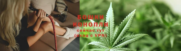 ГАЛЛЮЦИНОГЕННЫЕ ГРИБЫ Горнозаводск